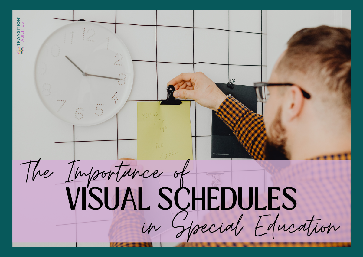 Using Visual Schedules - Transition Abilities