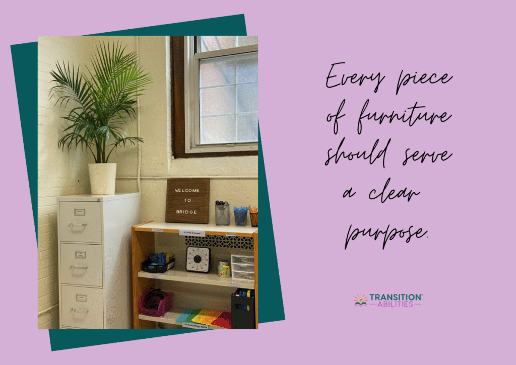 Classroom shelf and storage area with plant
