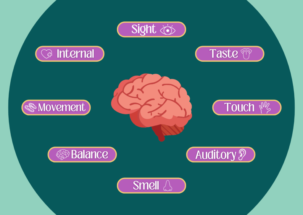 Diagram showing different senses like sight, sound, touch, and movement.